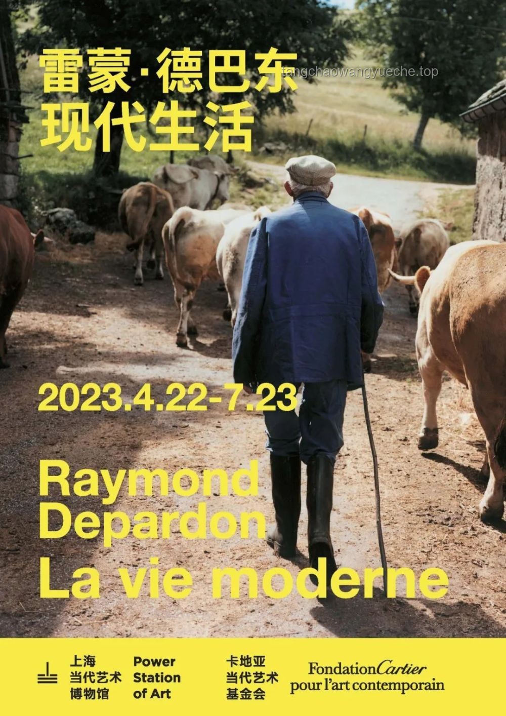 又见马茹子：记忆中的野味与现代生活的邂逅